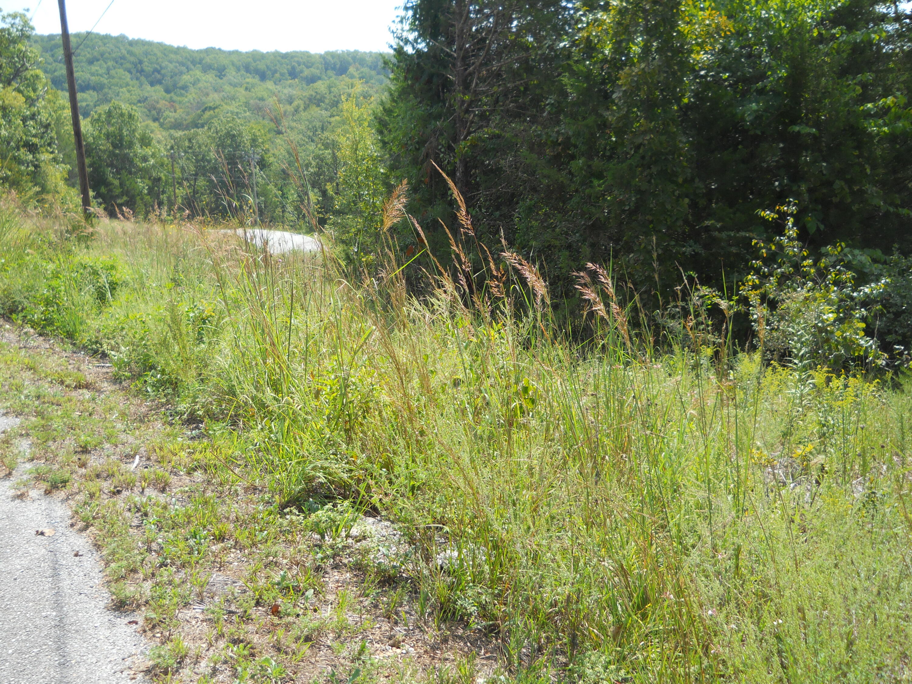 Lot 22 Trendy Property Photo 3