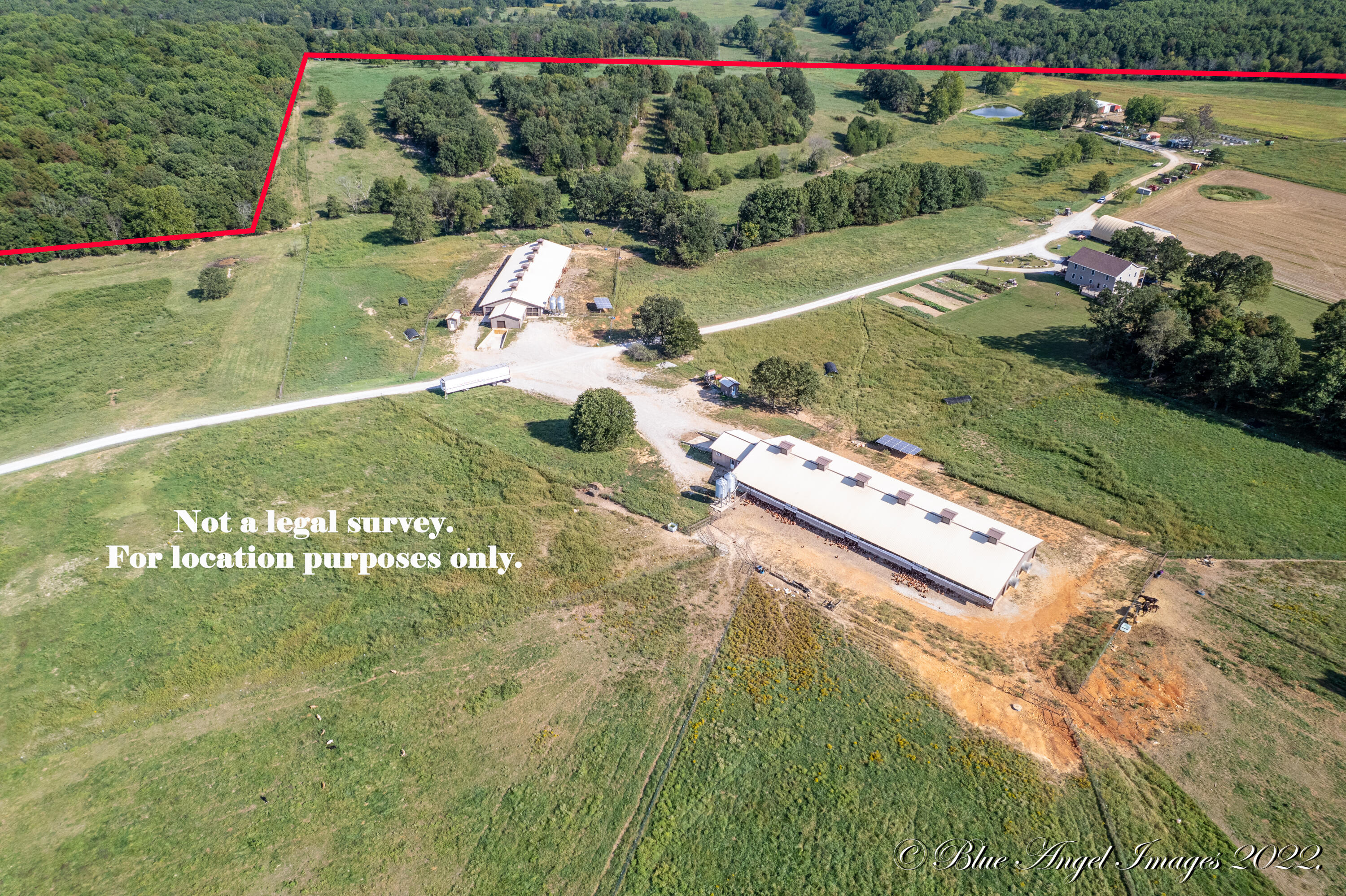 4408 County Road 7480 Property Photo 6