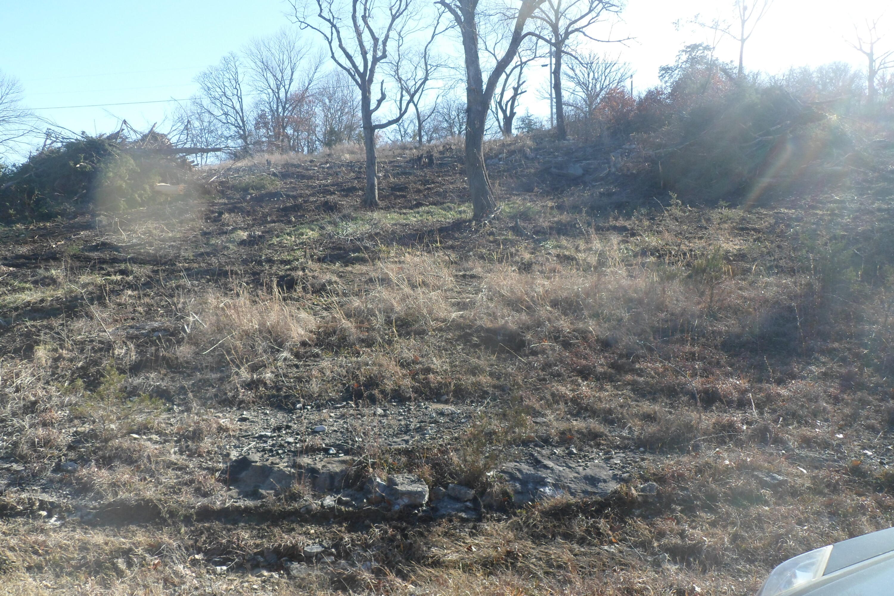 000 Cow Creek Road Property Photo 5