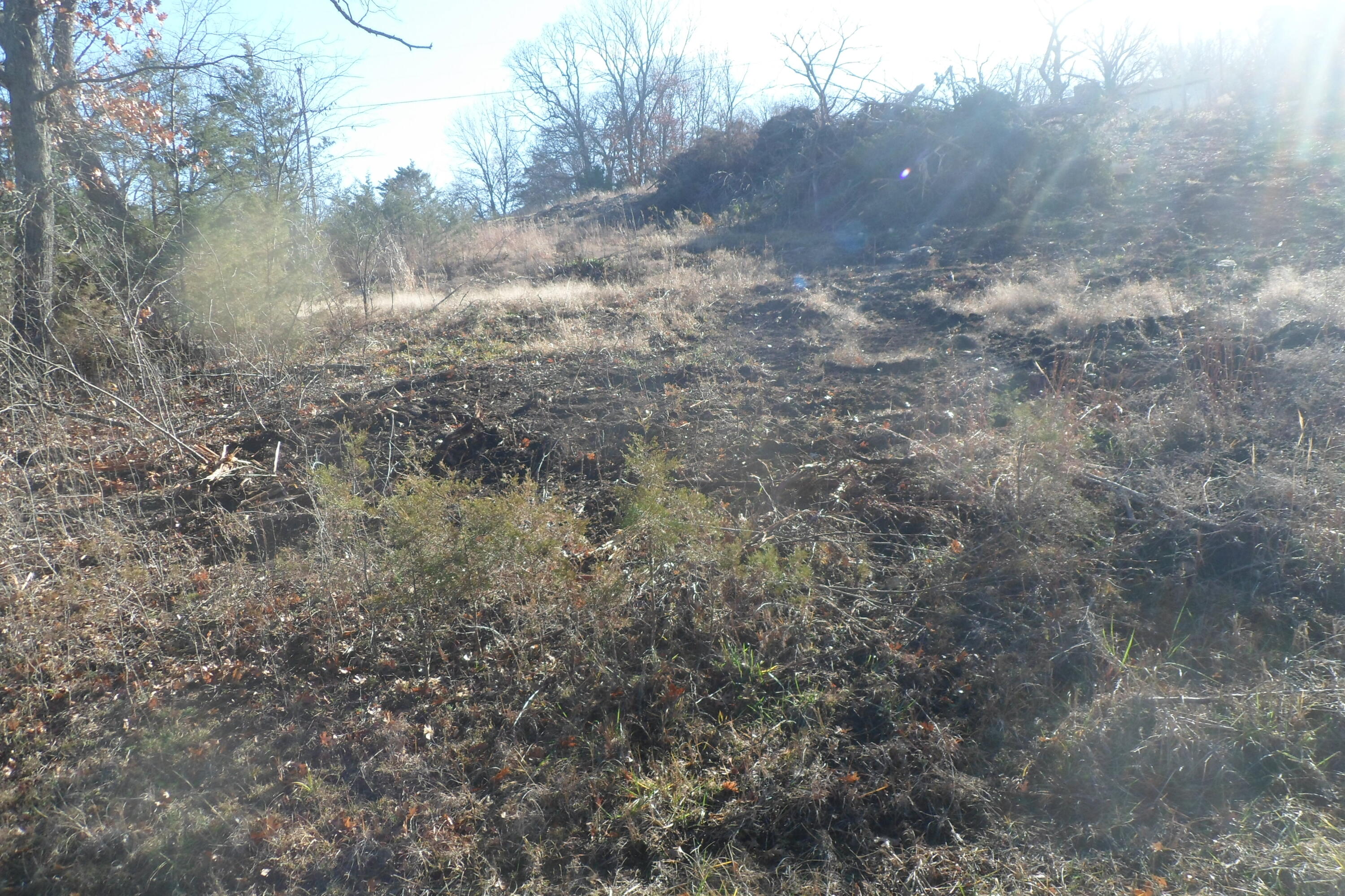 000 Cow Creek Road Property Photo 6