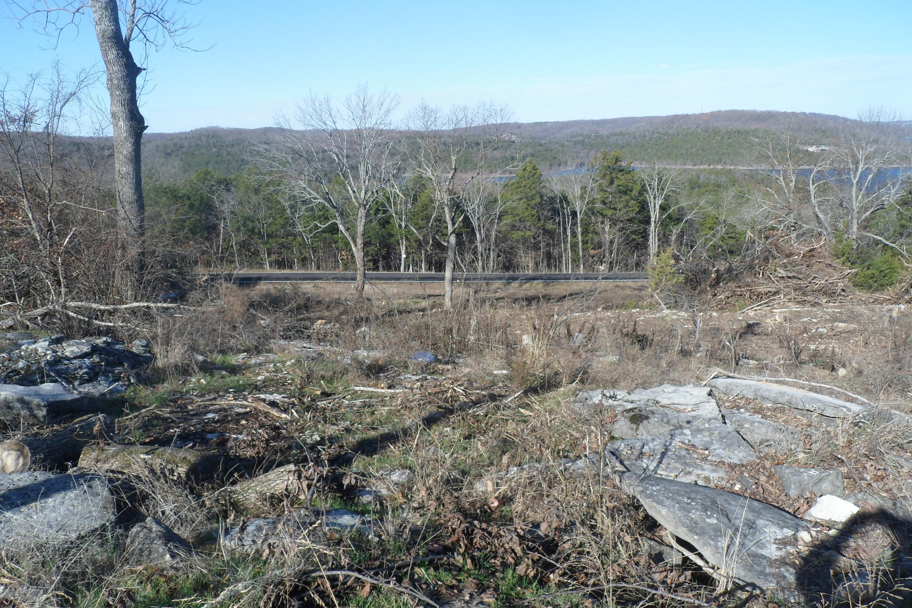 000 Cow Creek Road Property Photo 10
