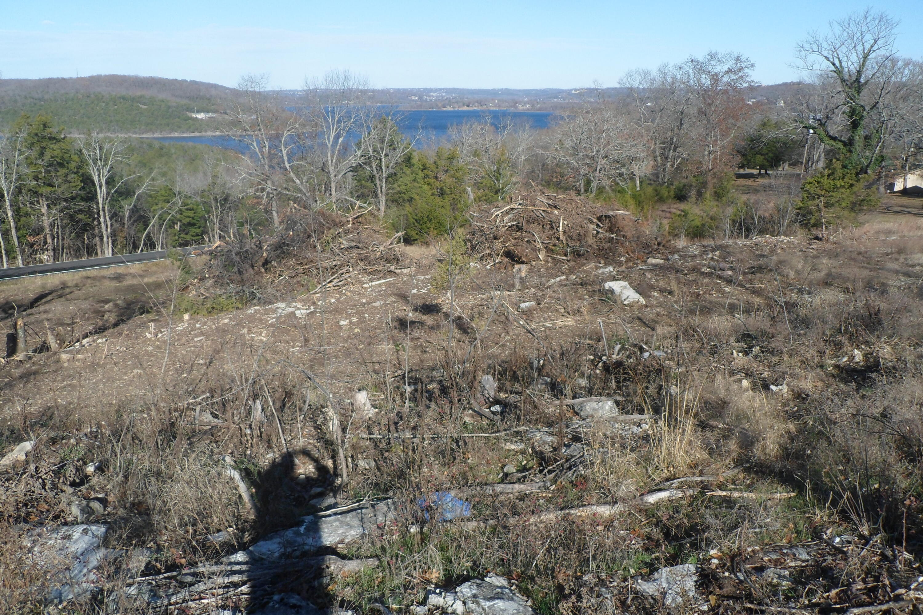 000 Cow Creek Road Property Photo 11