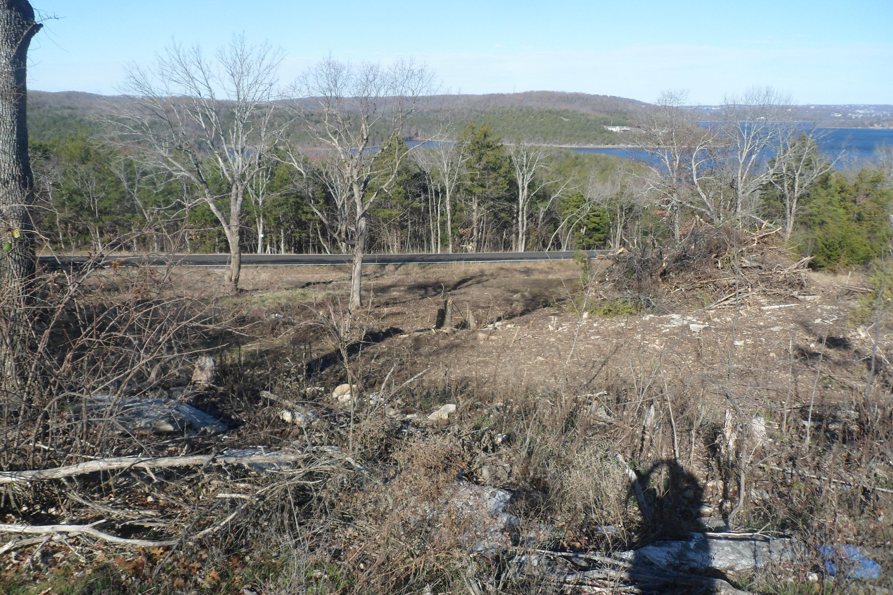 000 Cow Creek Road Property Photo 12