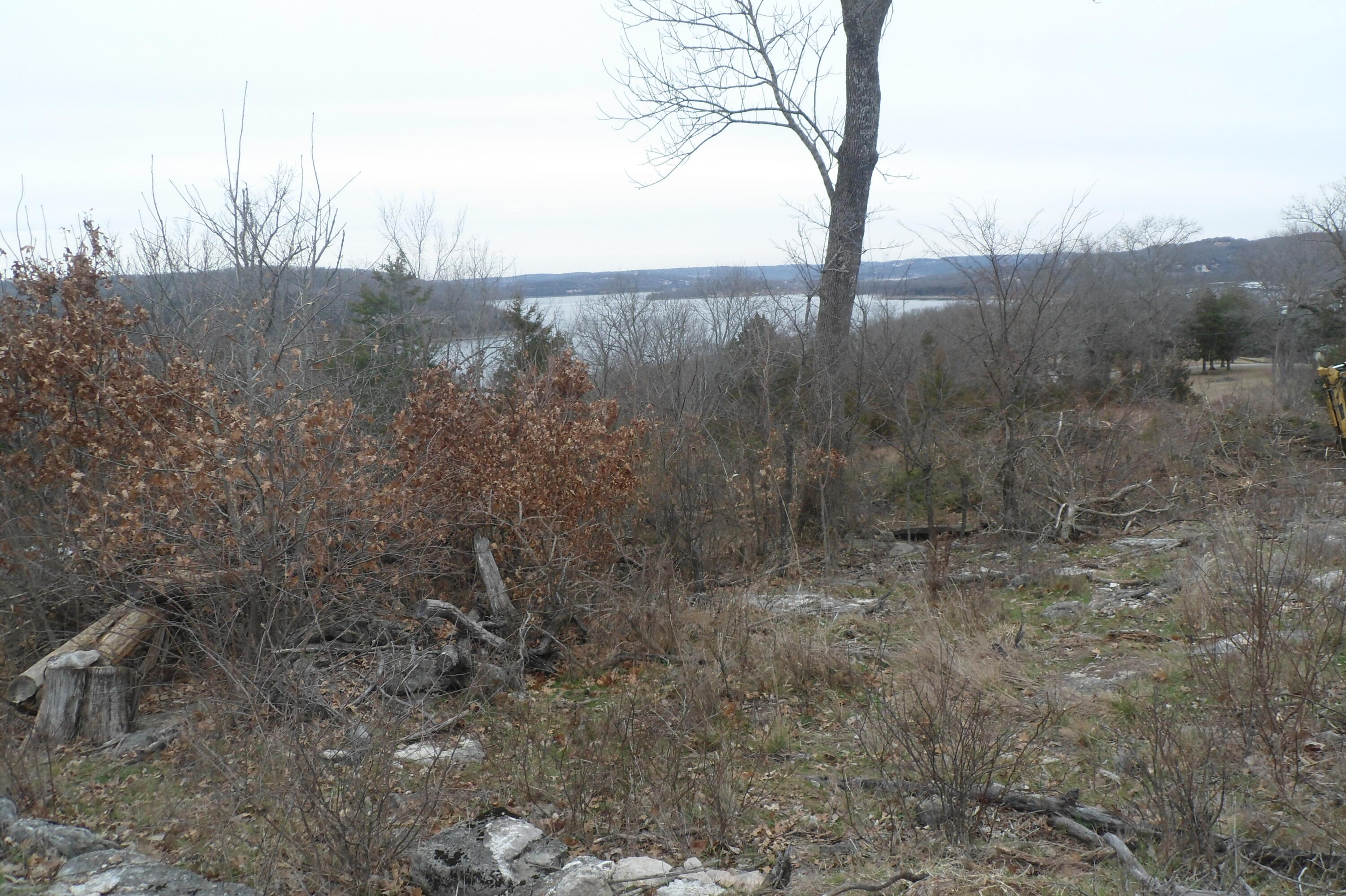 000 Cow Creek Road Property Photo 16