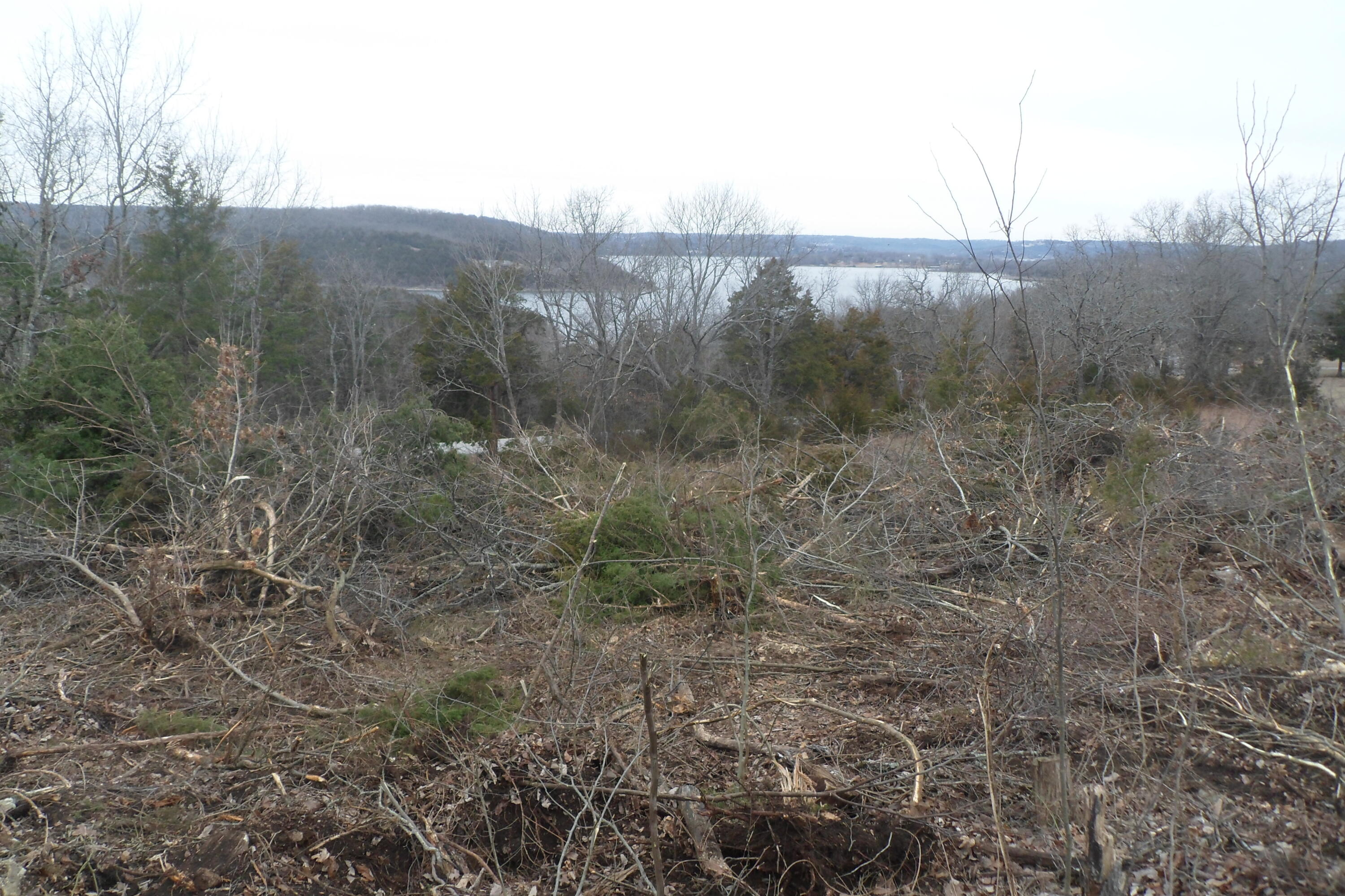 000 Cow Creek Road Property Photo 17