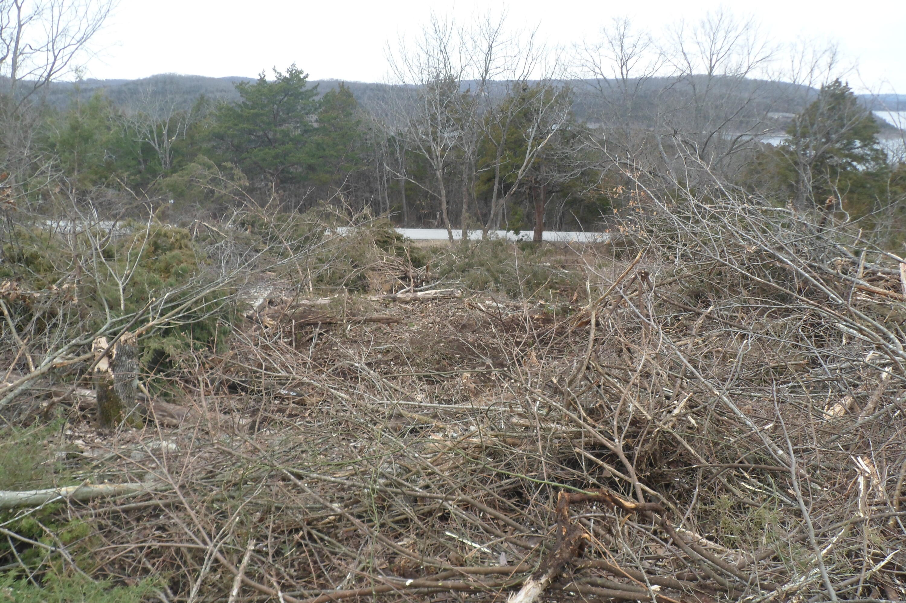 000 Cow Creek Road Property Photo 18
