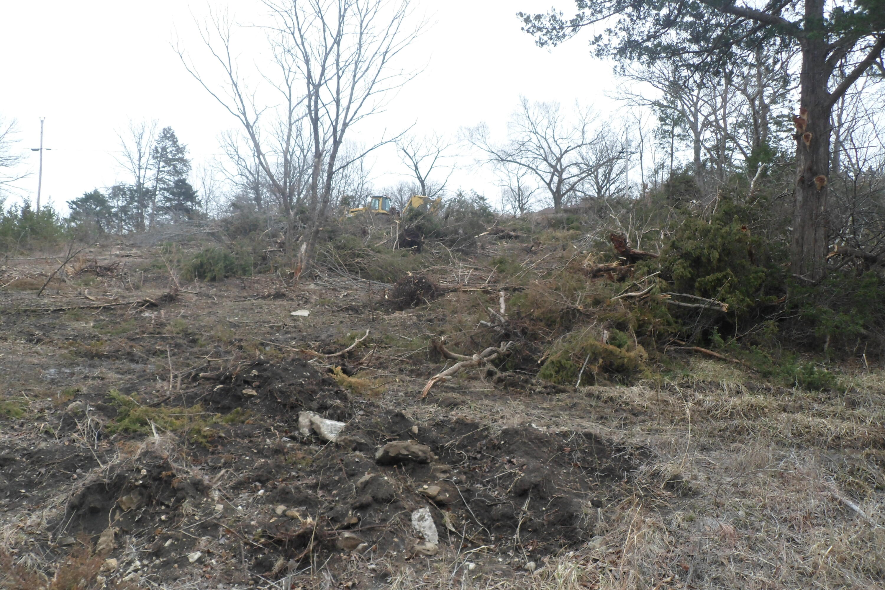 000 Cow Creek Road Property Photo 20