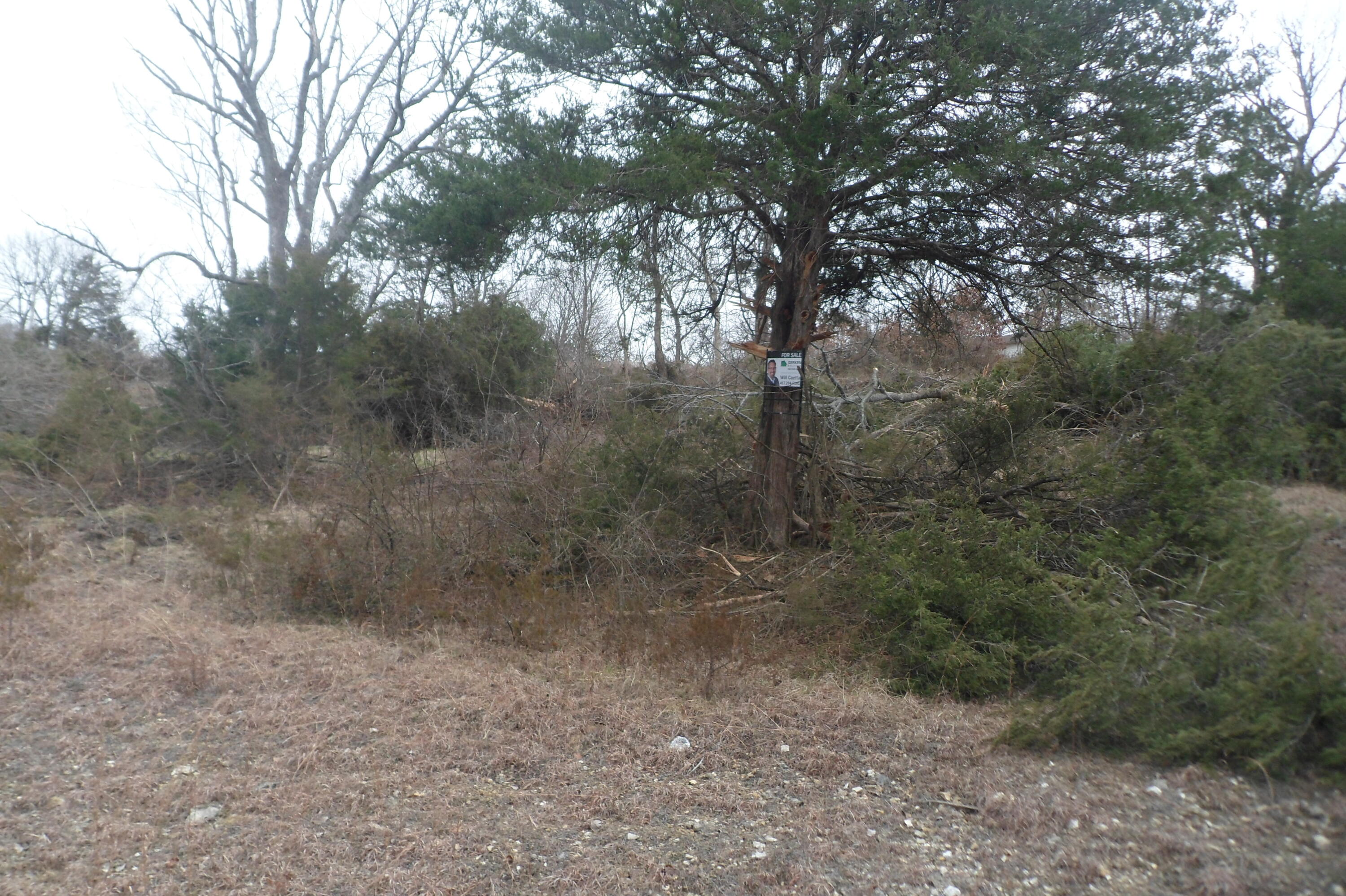 000 Cow Creek Road Property Photo 21