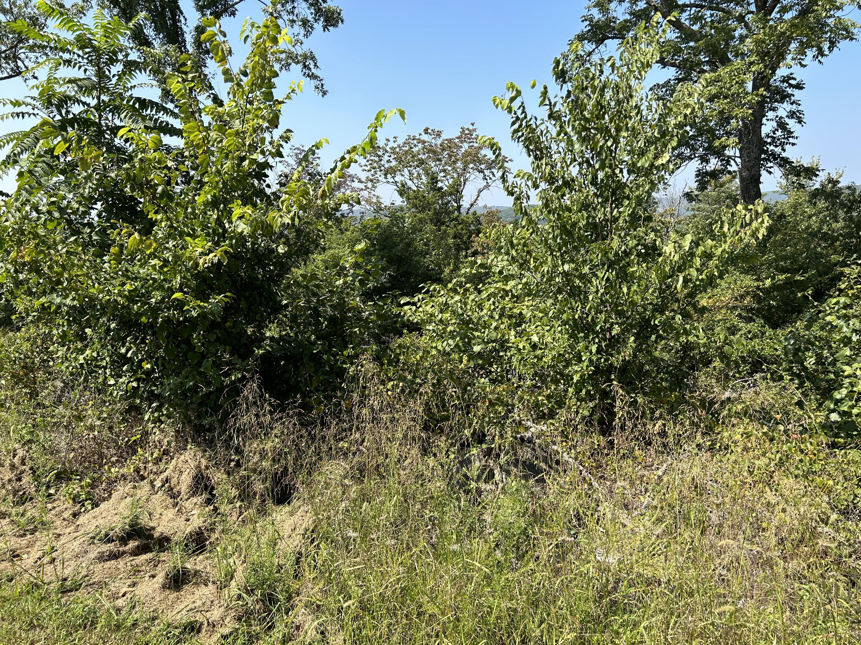 000 Cow Creek Road Property Photo 25