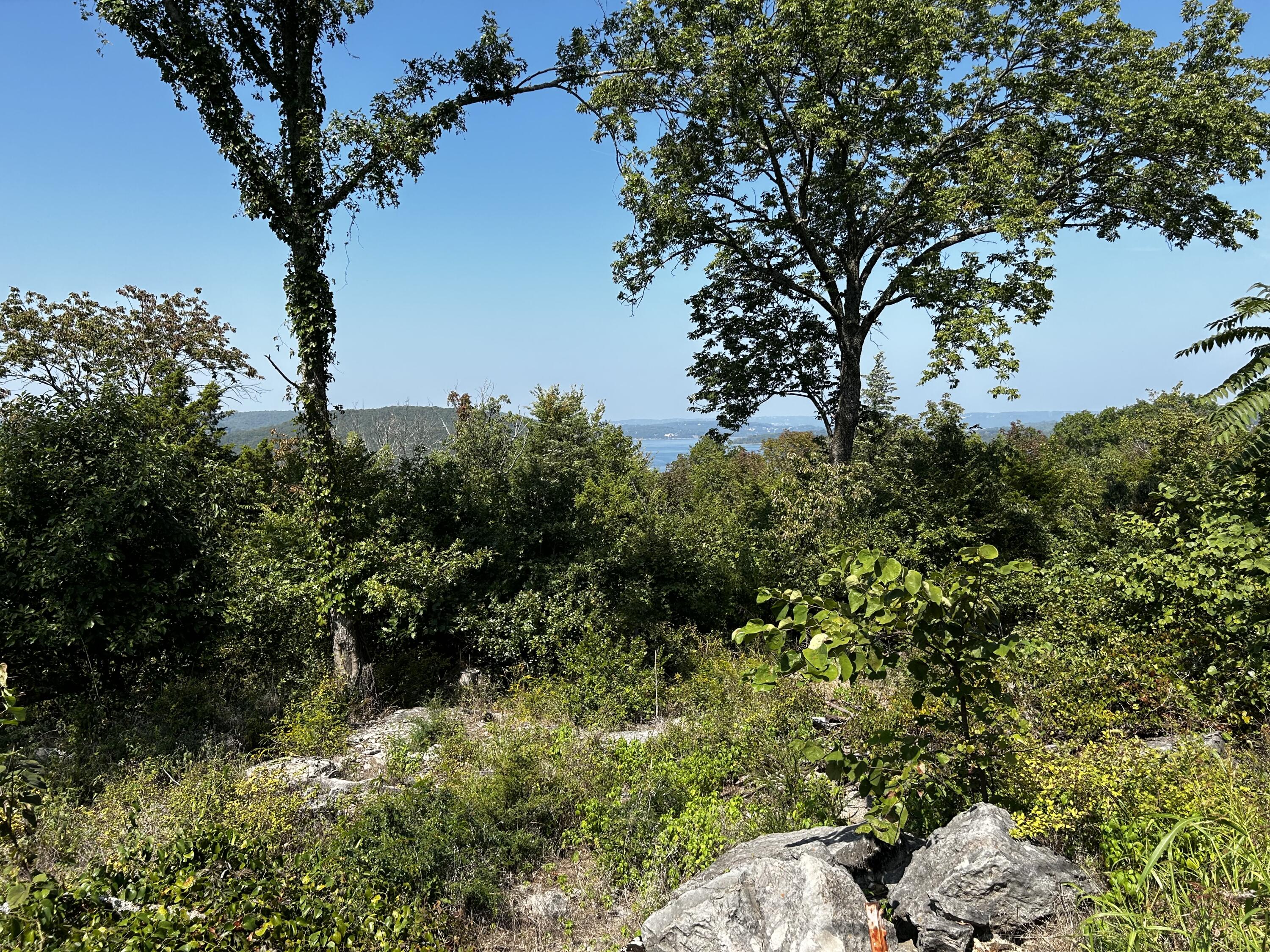 000 Cow Creek Road Property Photo 26