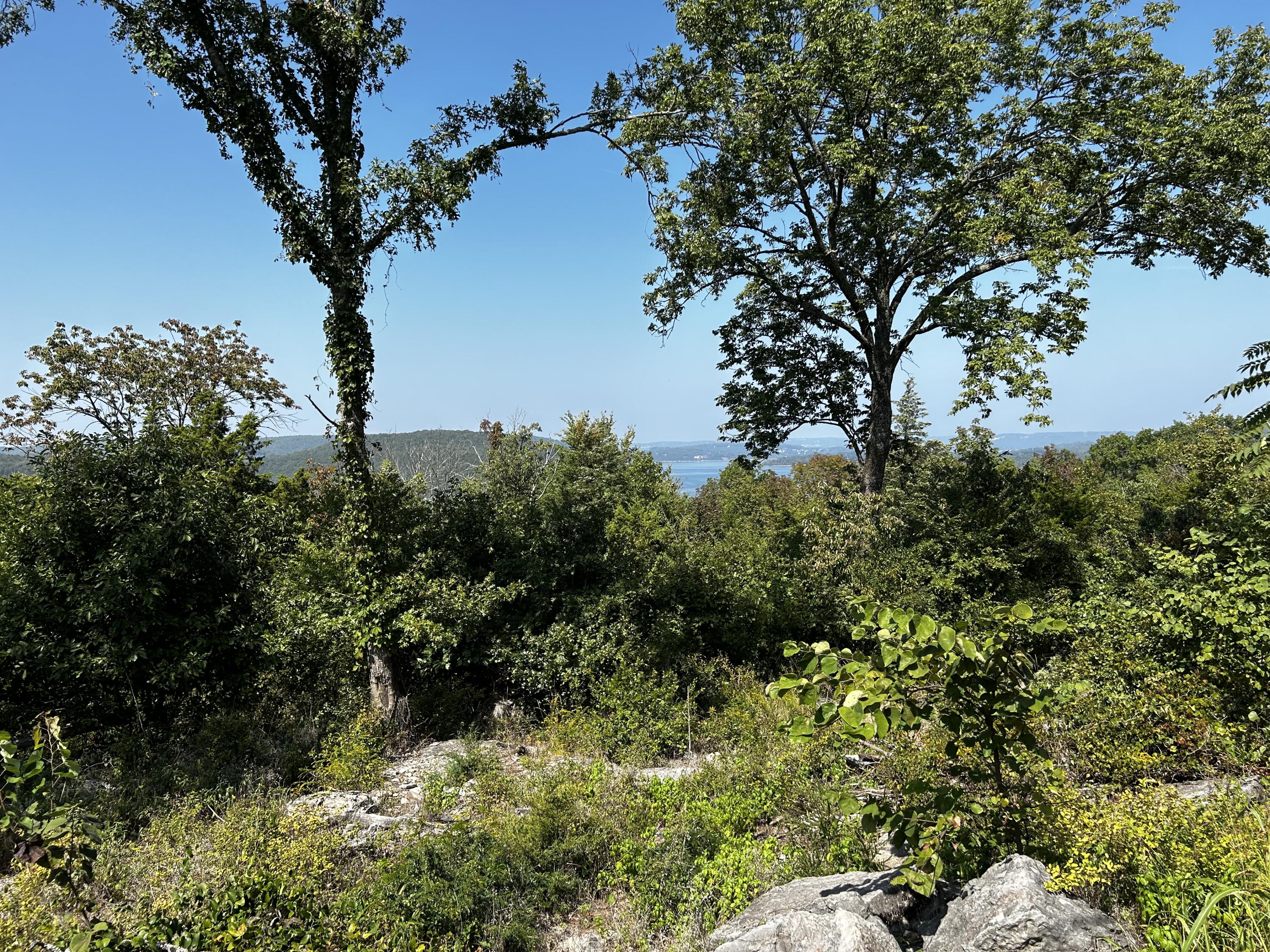 000 Cow Creek Road Property Photo 27