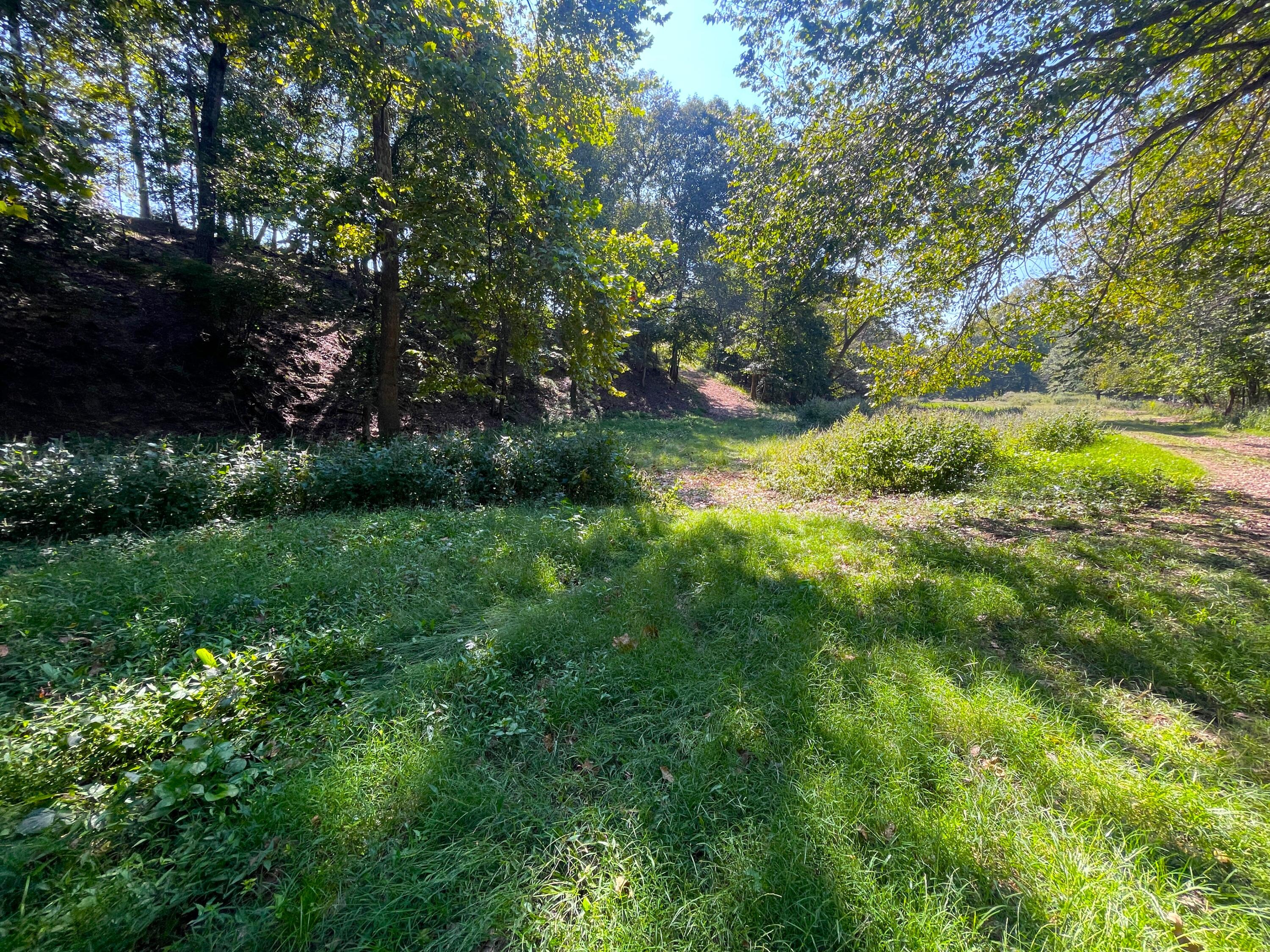 756 Crane Road Property Photo 10