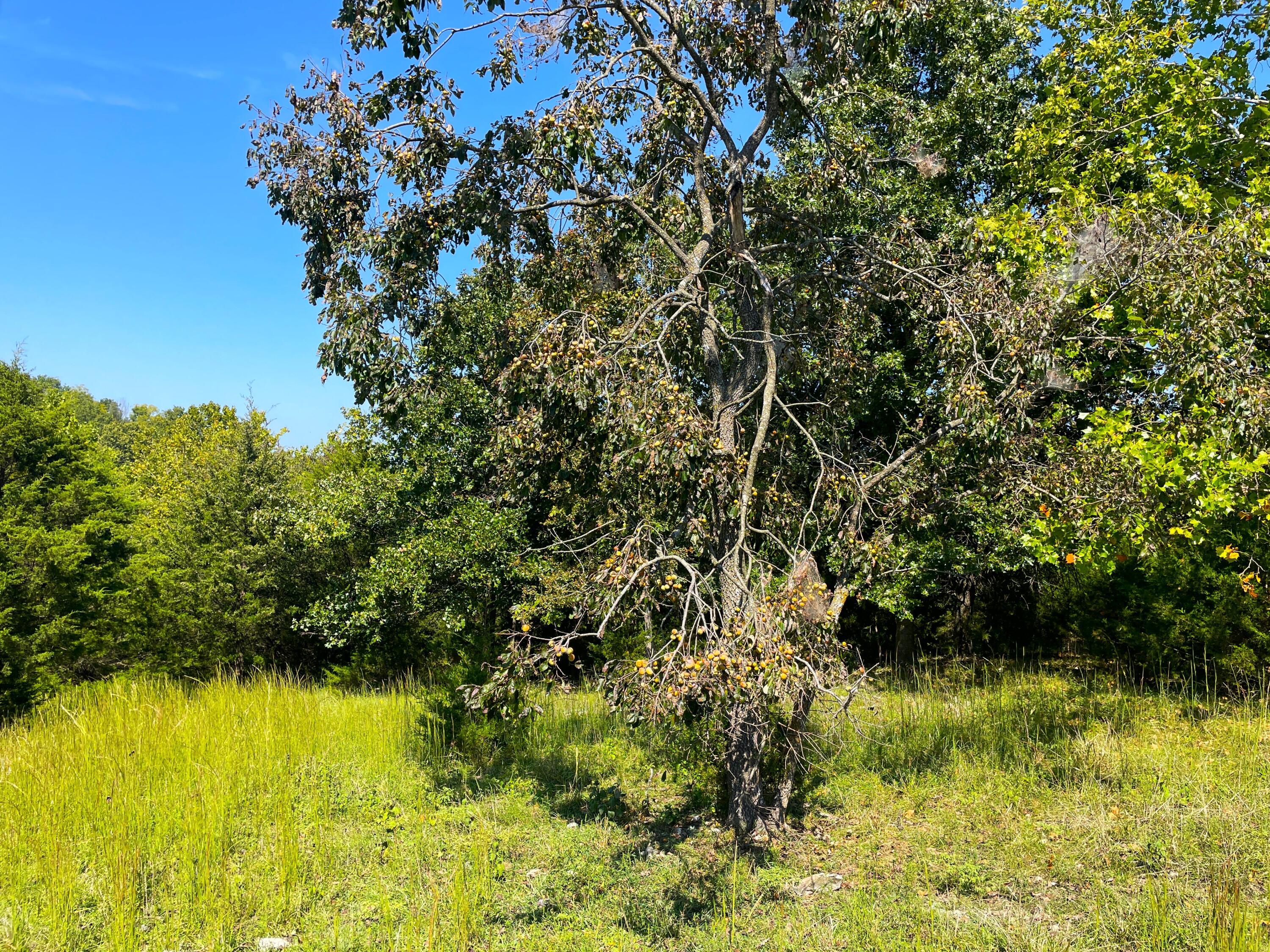 756 Crane Road Property Photo 15