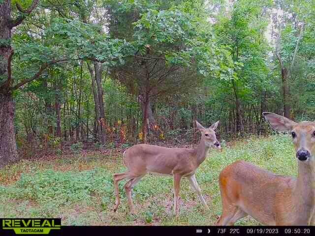 756 Crane Road Property Photo 19
