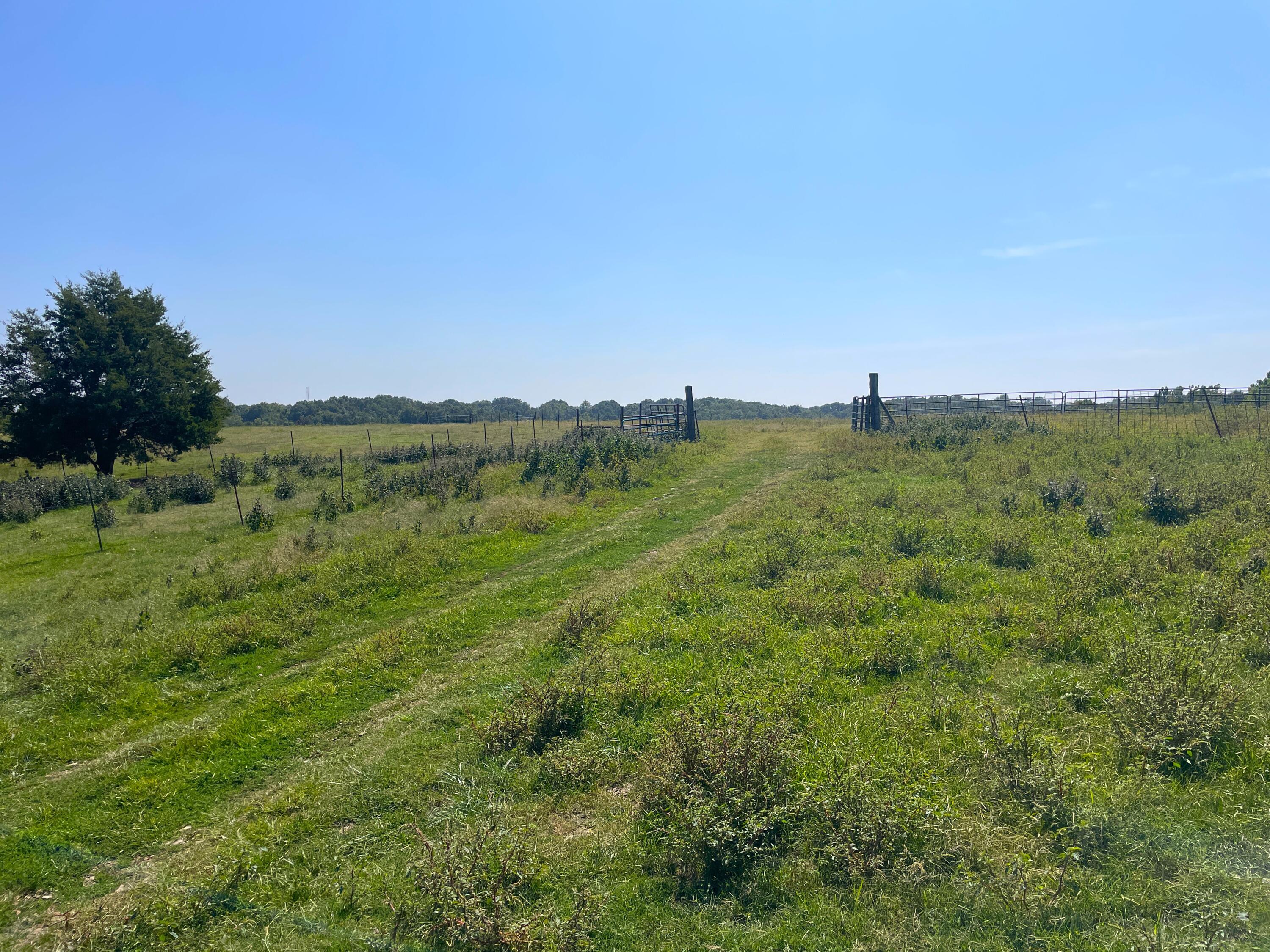 756 Crane Road Property Photo 30
