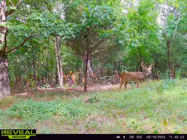 756 Crane Road Property Photo 33
