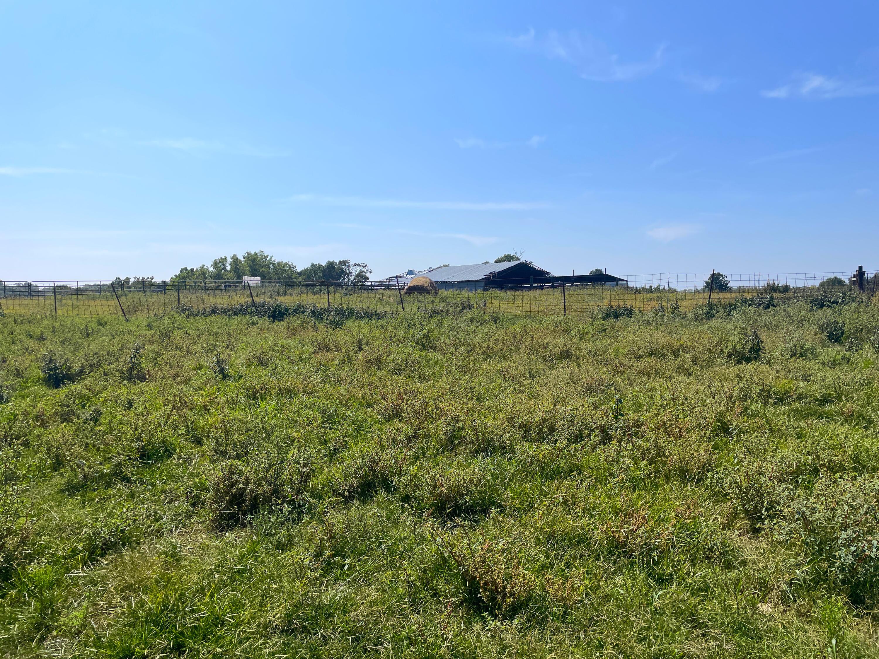 756 Crane Road Property Photo 34