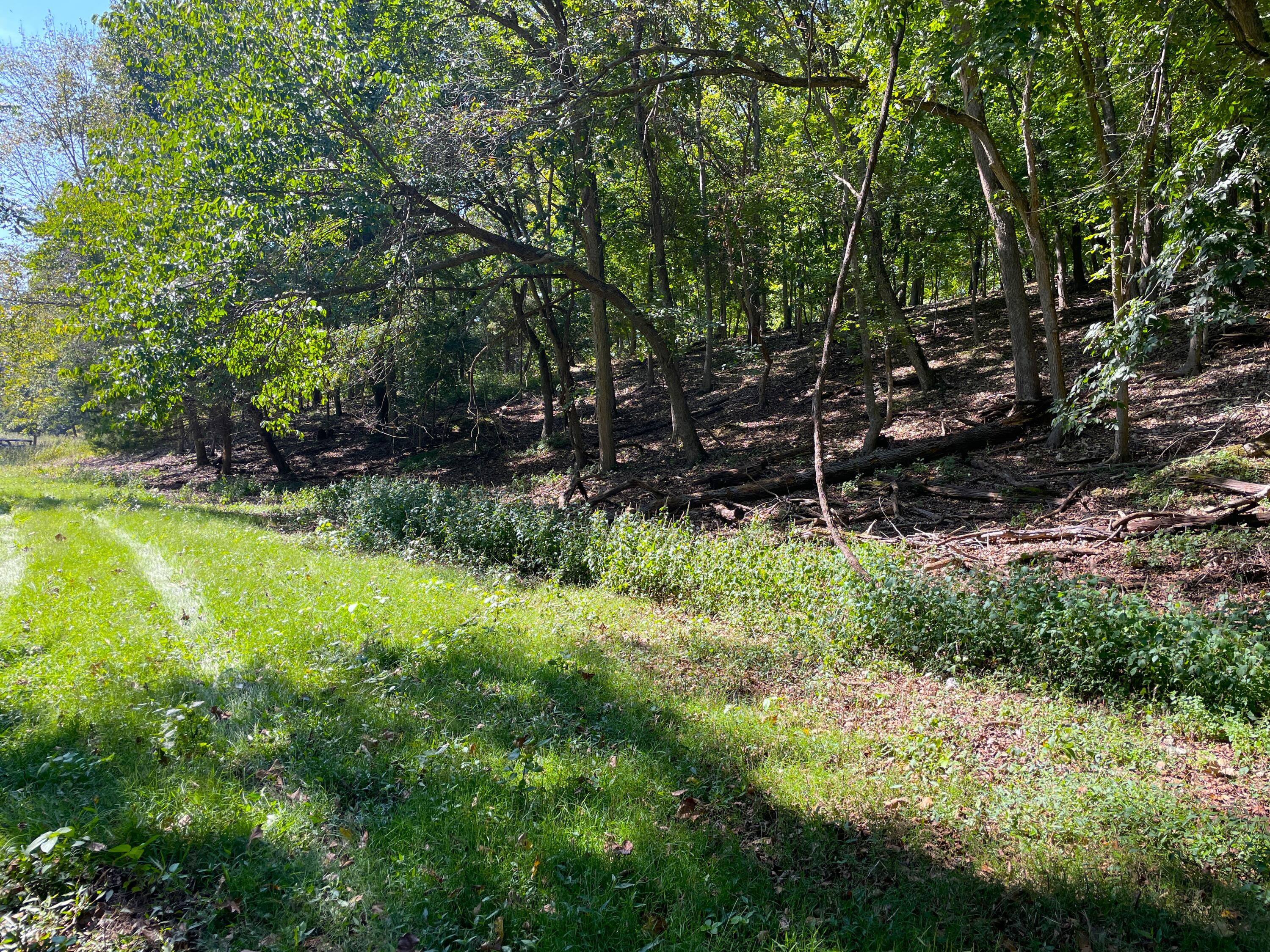 756 Crane Road Property Photo 37