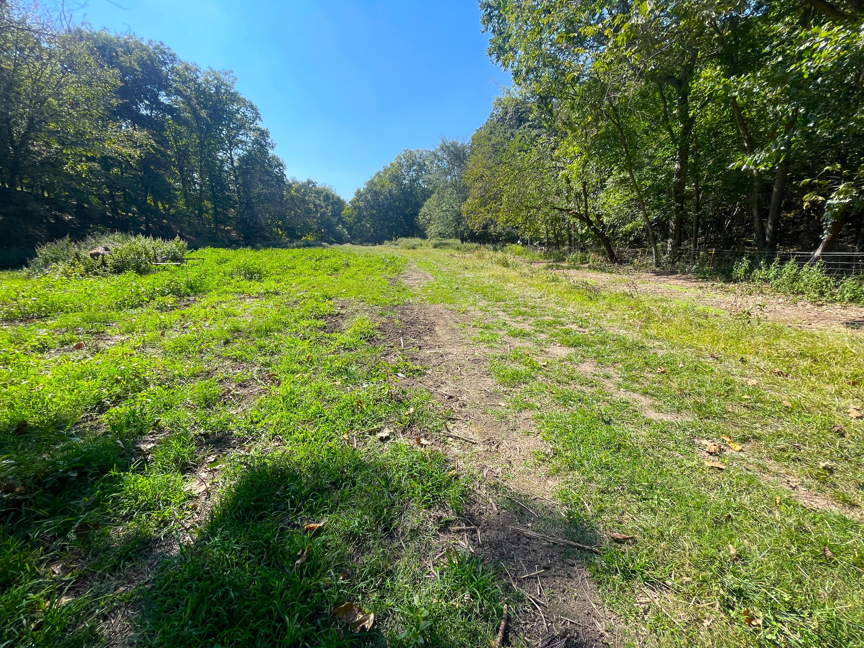 756 Crane Road Property Photo 43