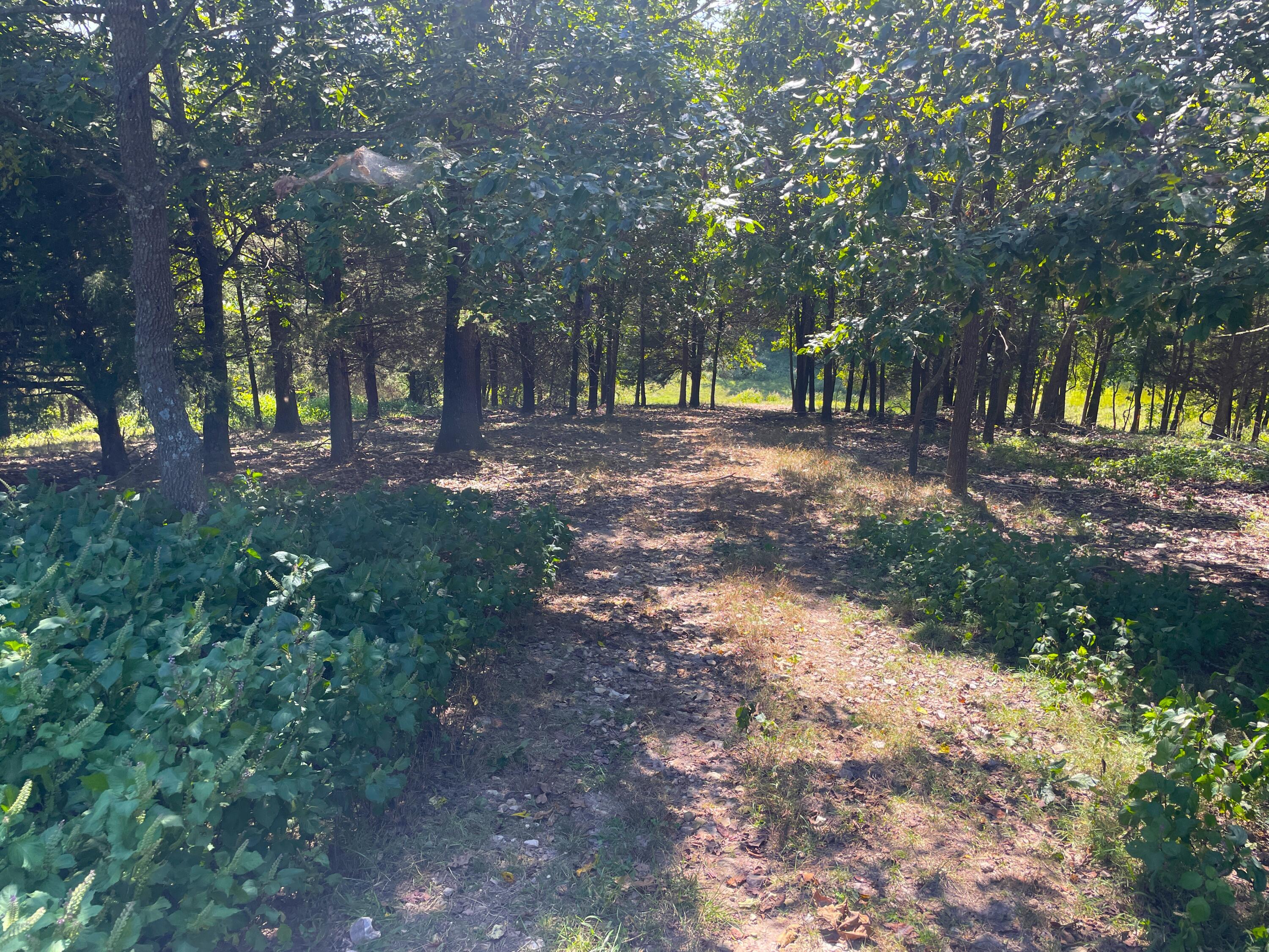 756 Crane Road Property Photo 45