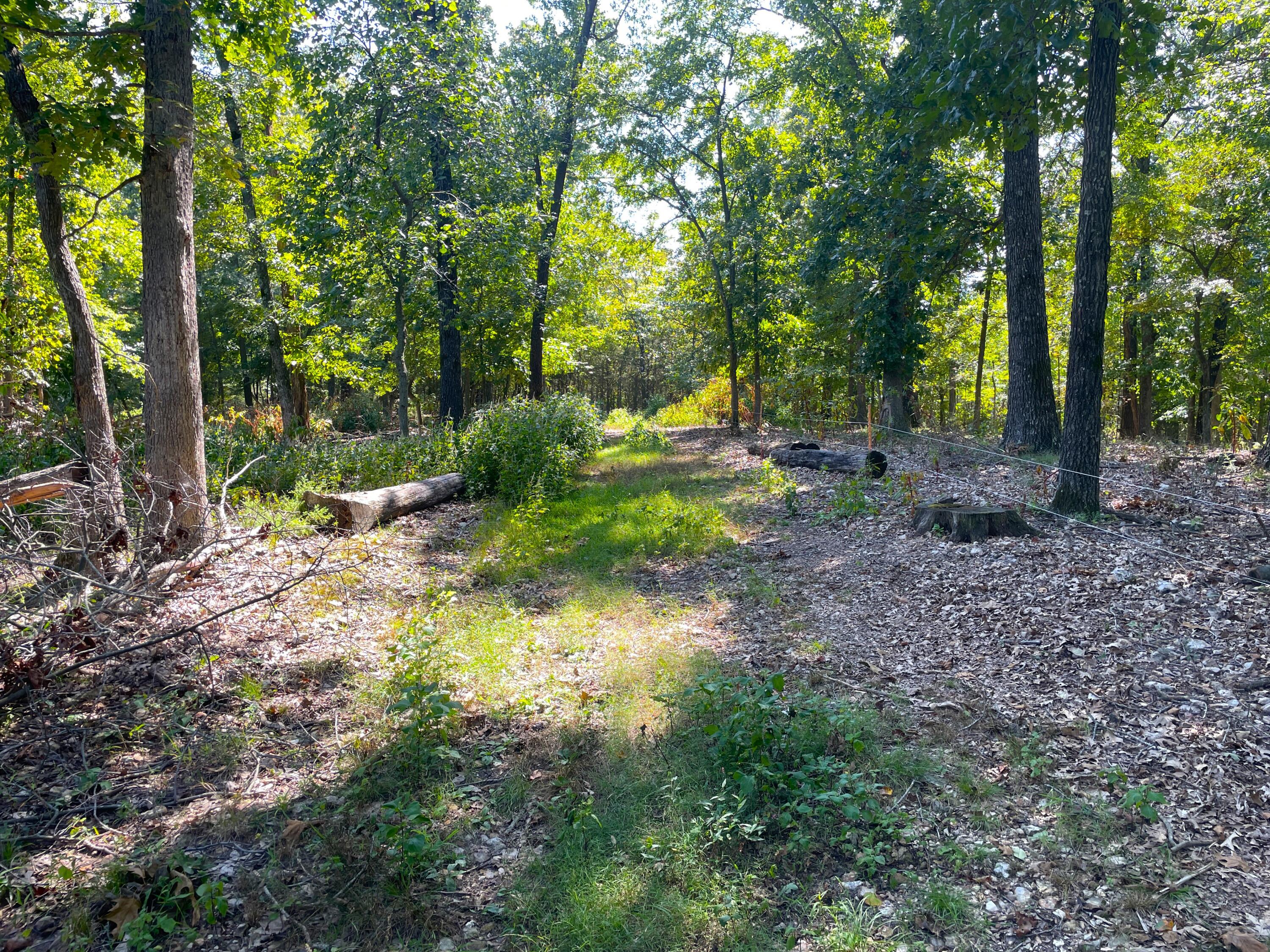 756 Crane Road Property Photo 52
