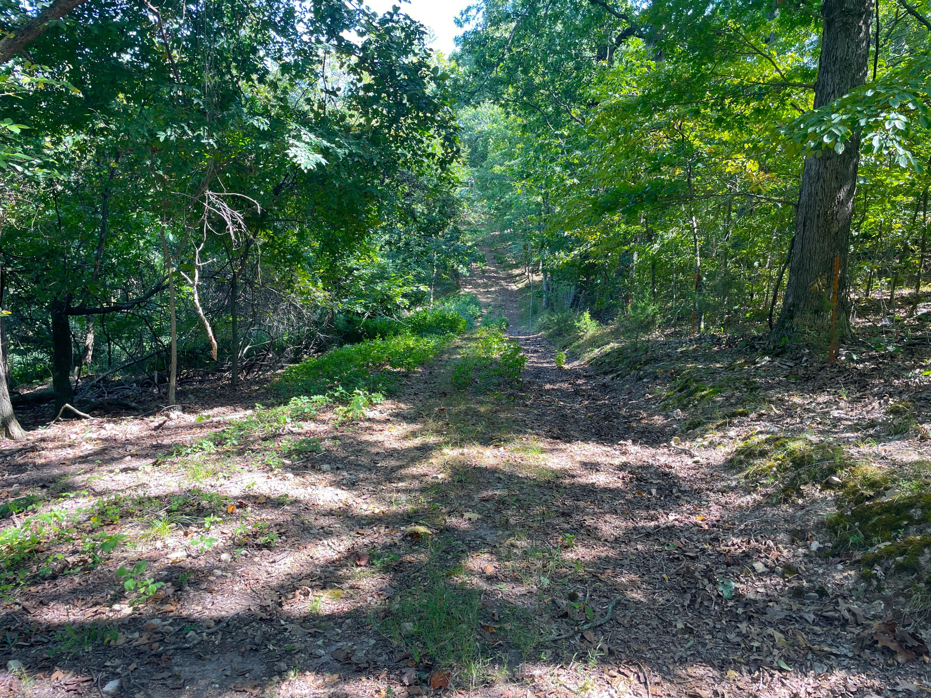 756 Crane Road Property Photo 54