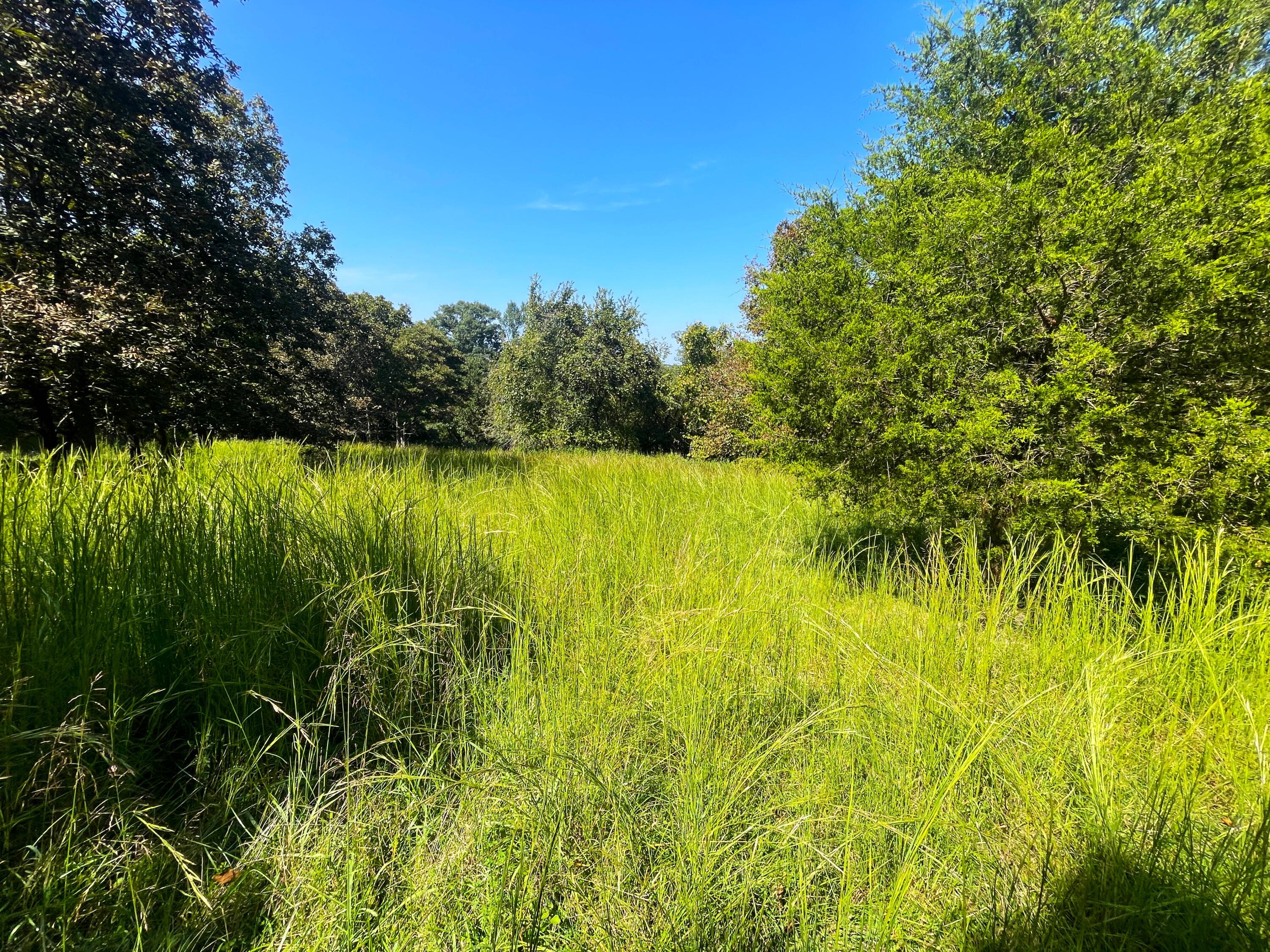 756 Crane Road Property Photo 64