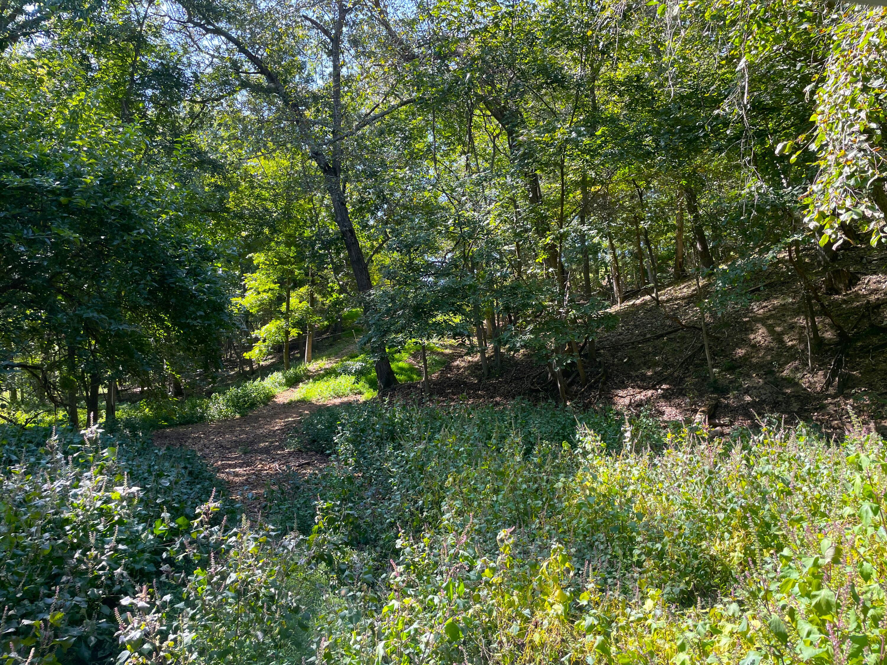 756 Crane Road Property Photo 67