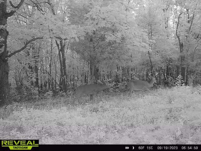 756 Crane Road Property Photo 68