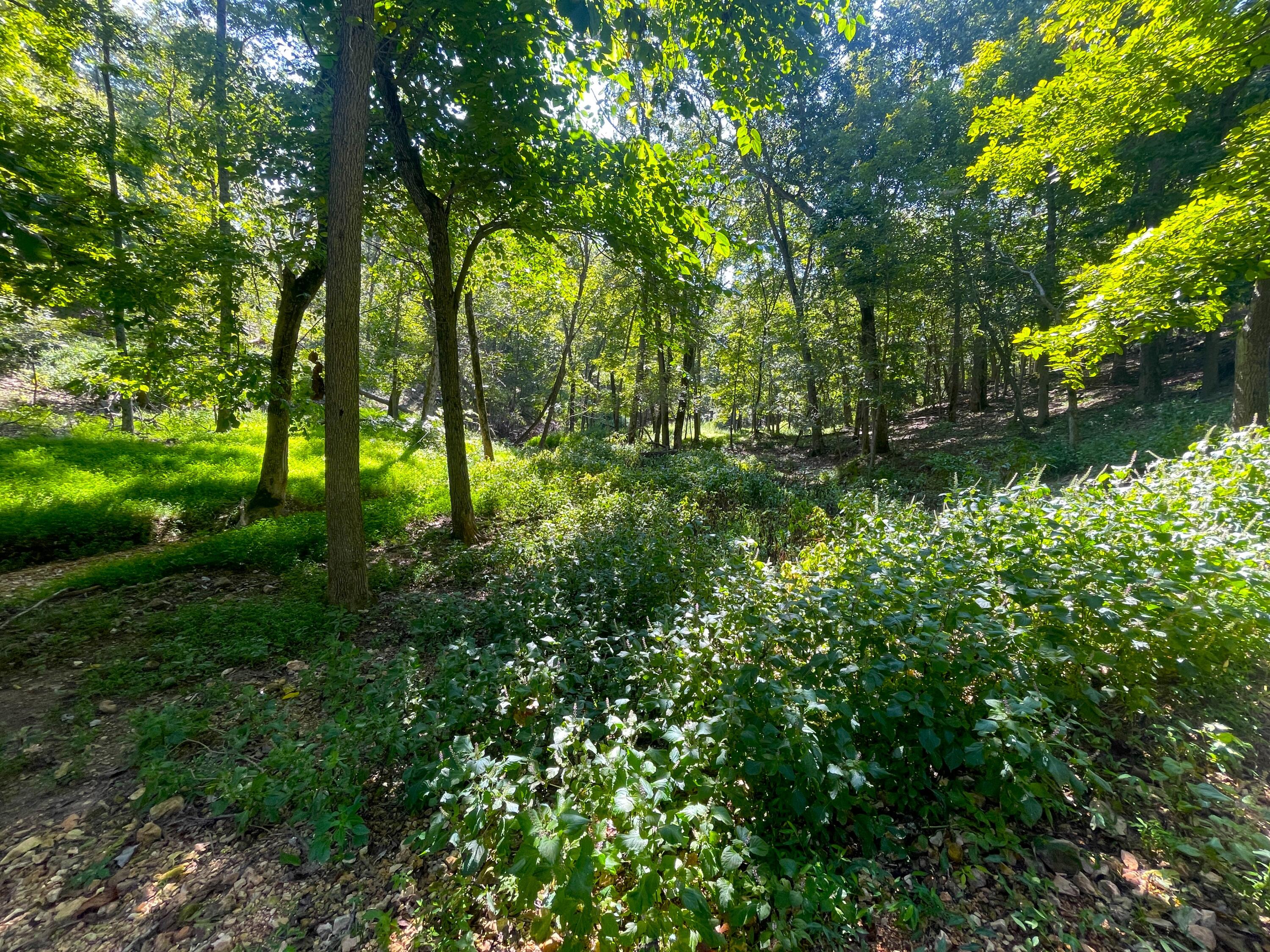 756 Crane Road Property Photo 74