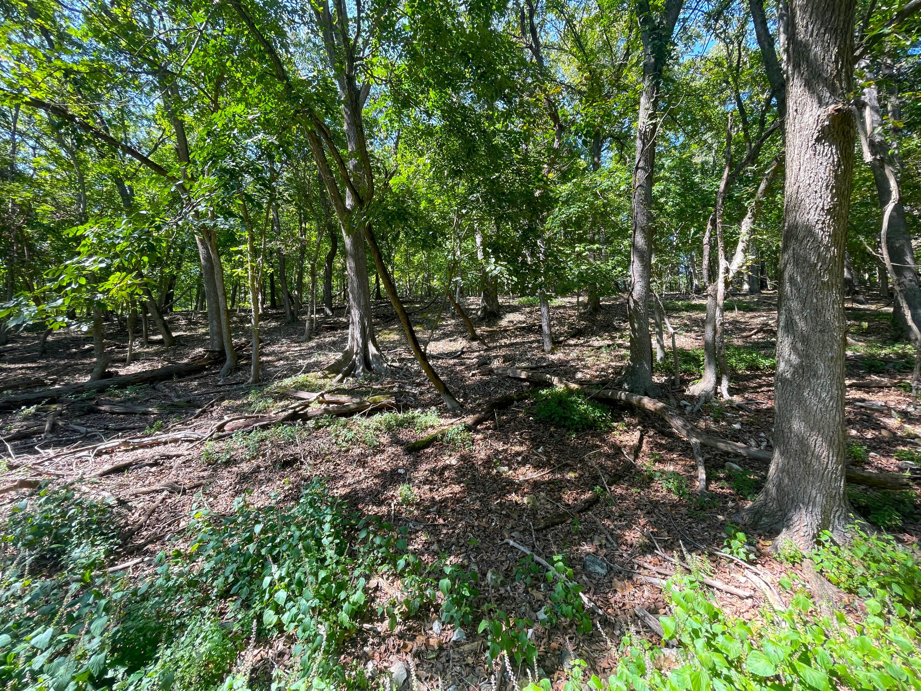 756 Crane Road Property Photo 77