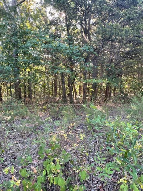 Tbd Cr 203 Property Photo 1