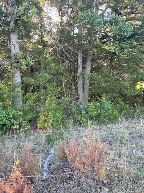 Tbd Cr 203 Property Photo 1