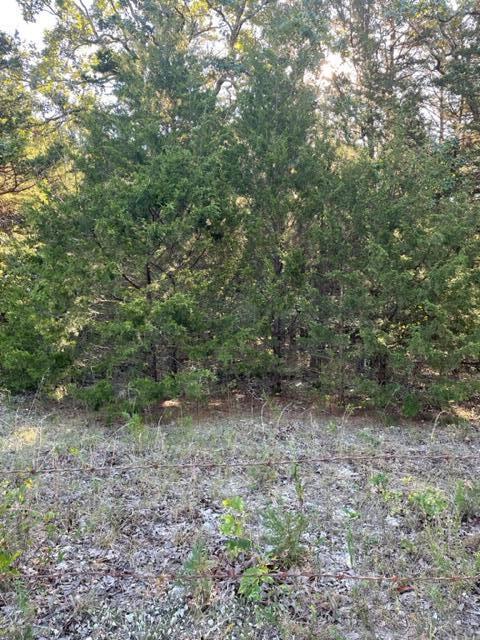 Tbd Cr 203 Property Photo 2