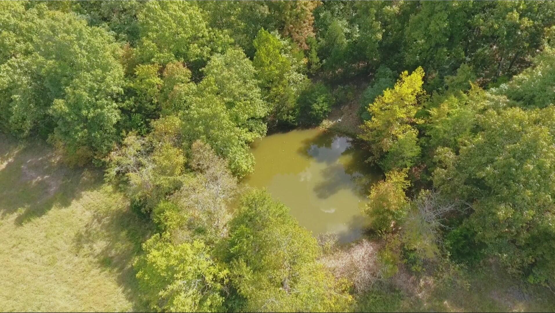 1676 Moonlight Road Property Photo 40