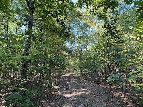 000 County Road 118 Property Photo 3