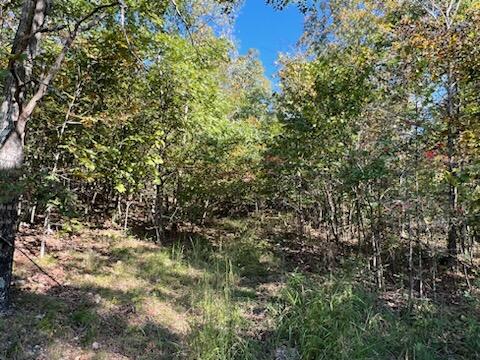 000 County Road 118 Property Photo 4