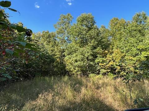 000 County Road 118 Property Photo 5