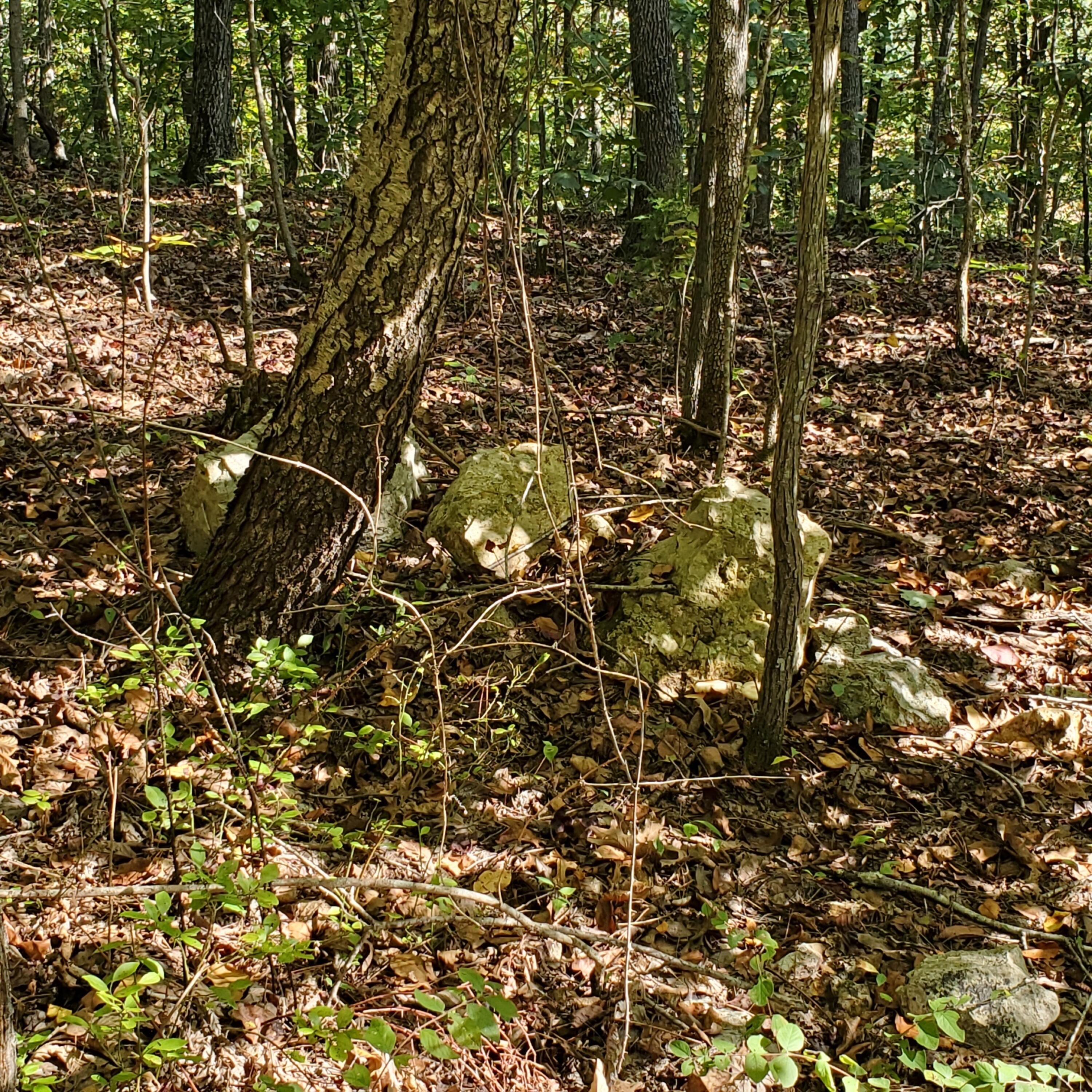 000 County Road 118 Property Photo 8