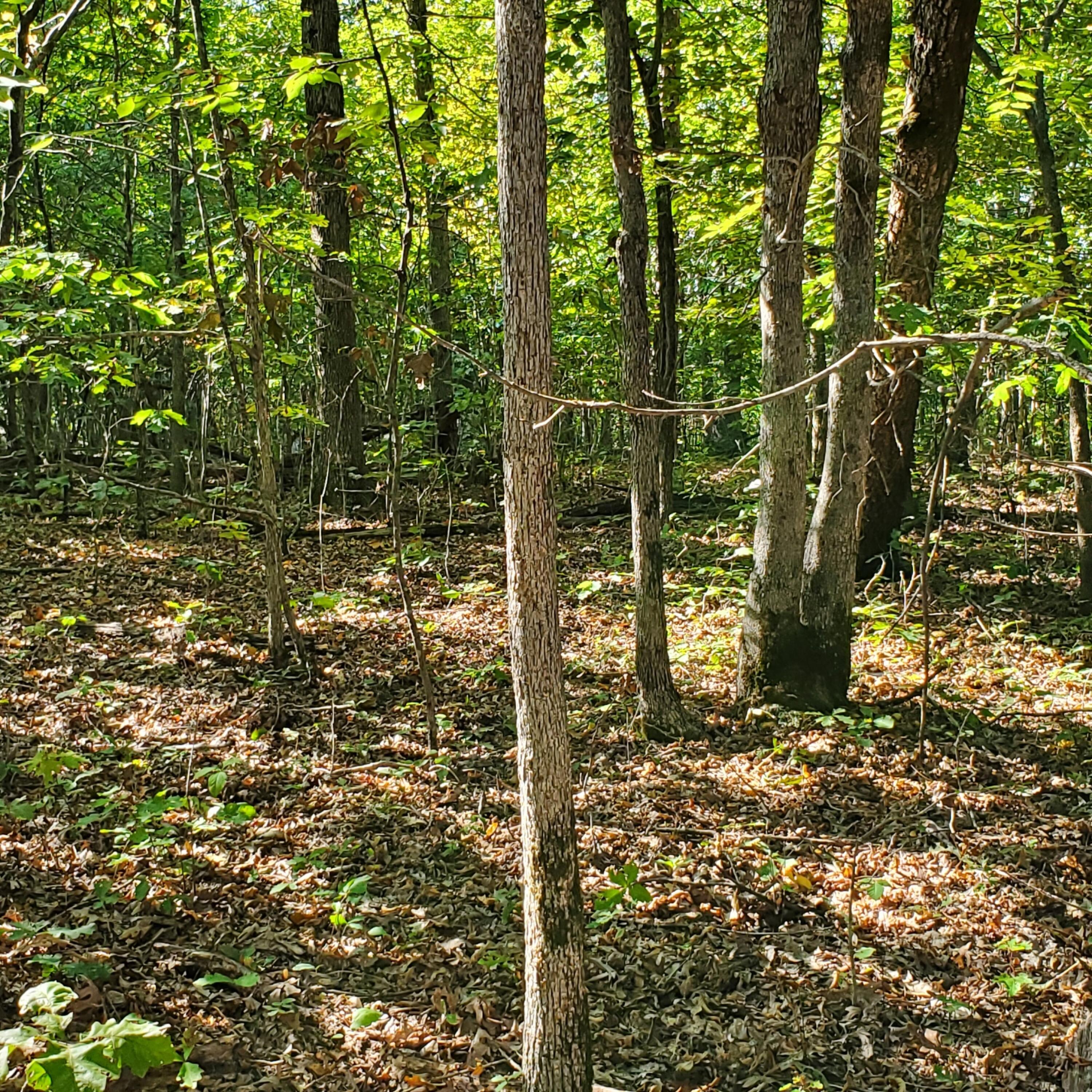 000 County Road 118 Property Photo 10