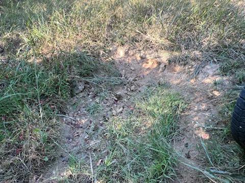 000 County Road 118 Property Photo 12