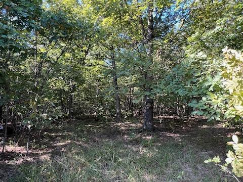 000 County Road 118 Property Photo 13