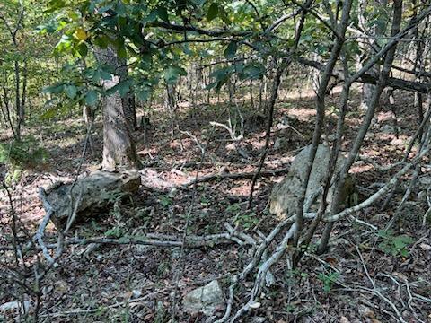 000 County Road 118 Property Photo 14