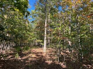 000 County Road 118 Property Photo 16