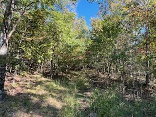 000 County Road 118 Property Photo 17
