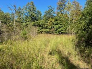 000 County Road 118 Property Photo 20