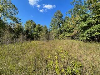 000 County Road 118 Property Photo 21