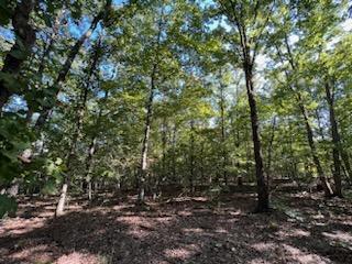 000 County Road 118 Property Photo 23