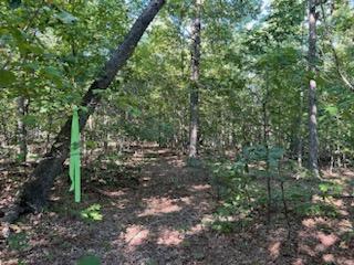 000 County Road 118 Property Photo 24