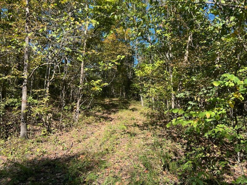 000 County Road 118 Property Photo 25